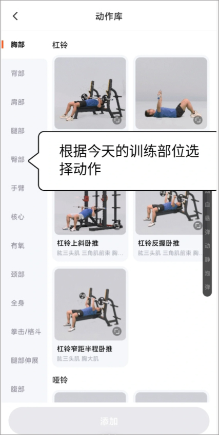 训练部位选择