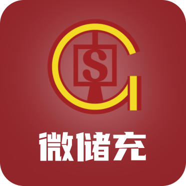 微储充
