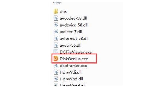 DiskGenius Installation Progress Screenshot