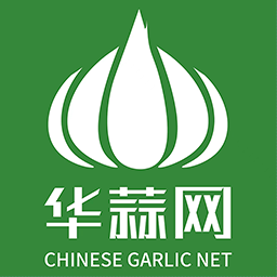 华蒜网