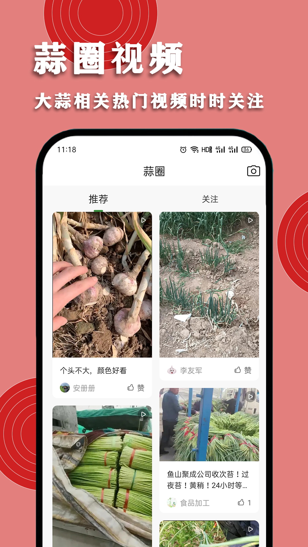 华蒜网软件封面