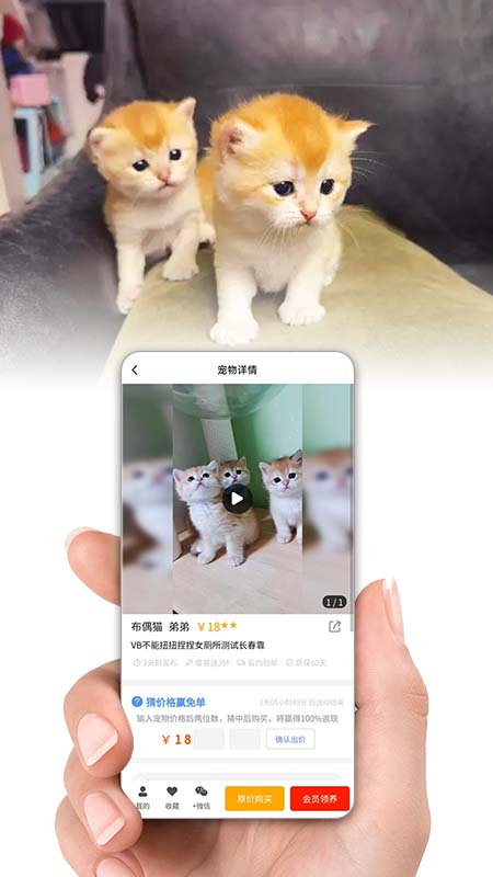 集咪舍软件封面
