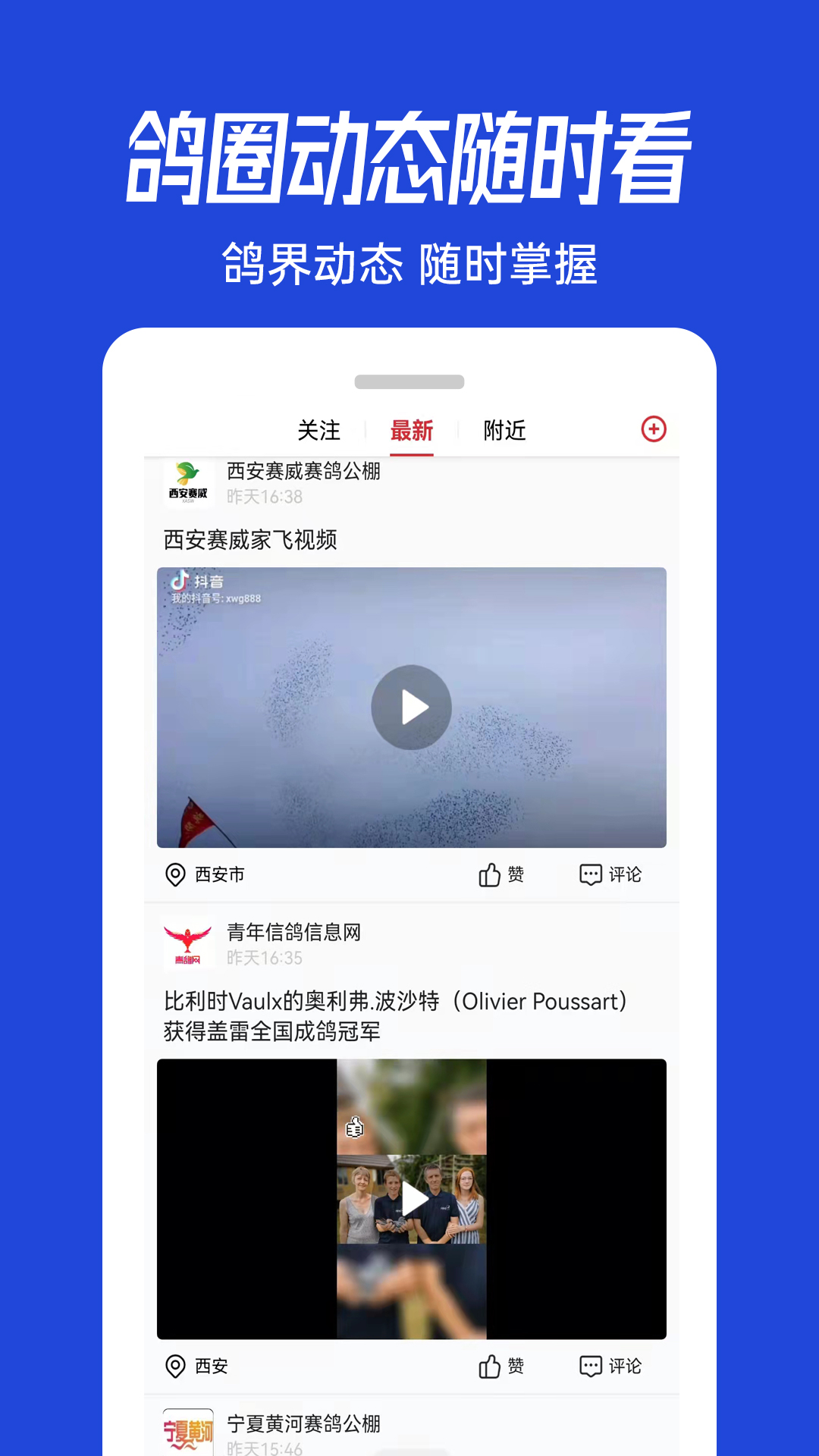 青鸽网软件封面