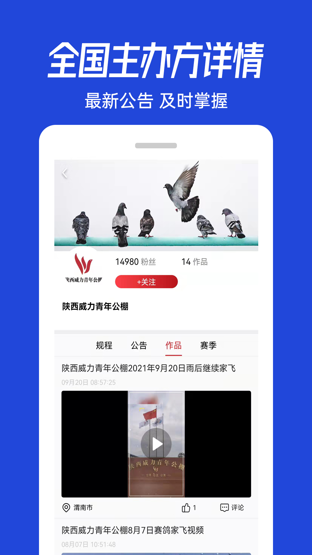青鸽网软件封面