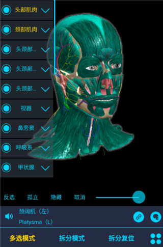 多选模式