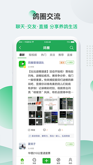 中国信鸽信息网app软件封面