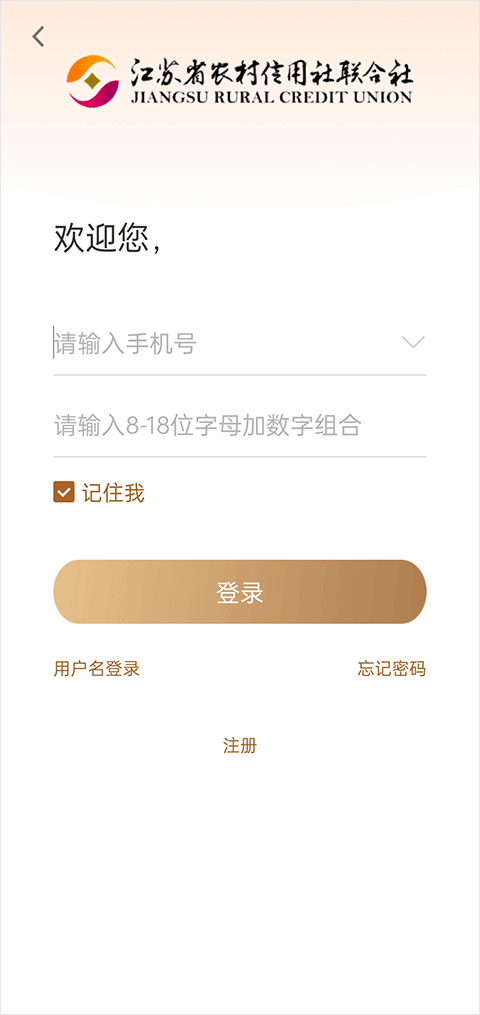 登录界面