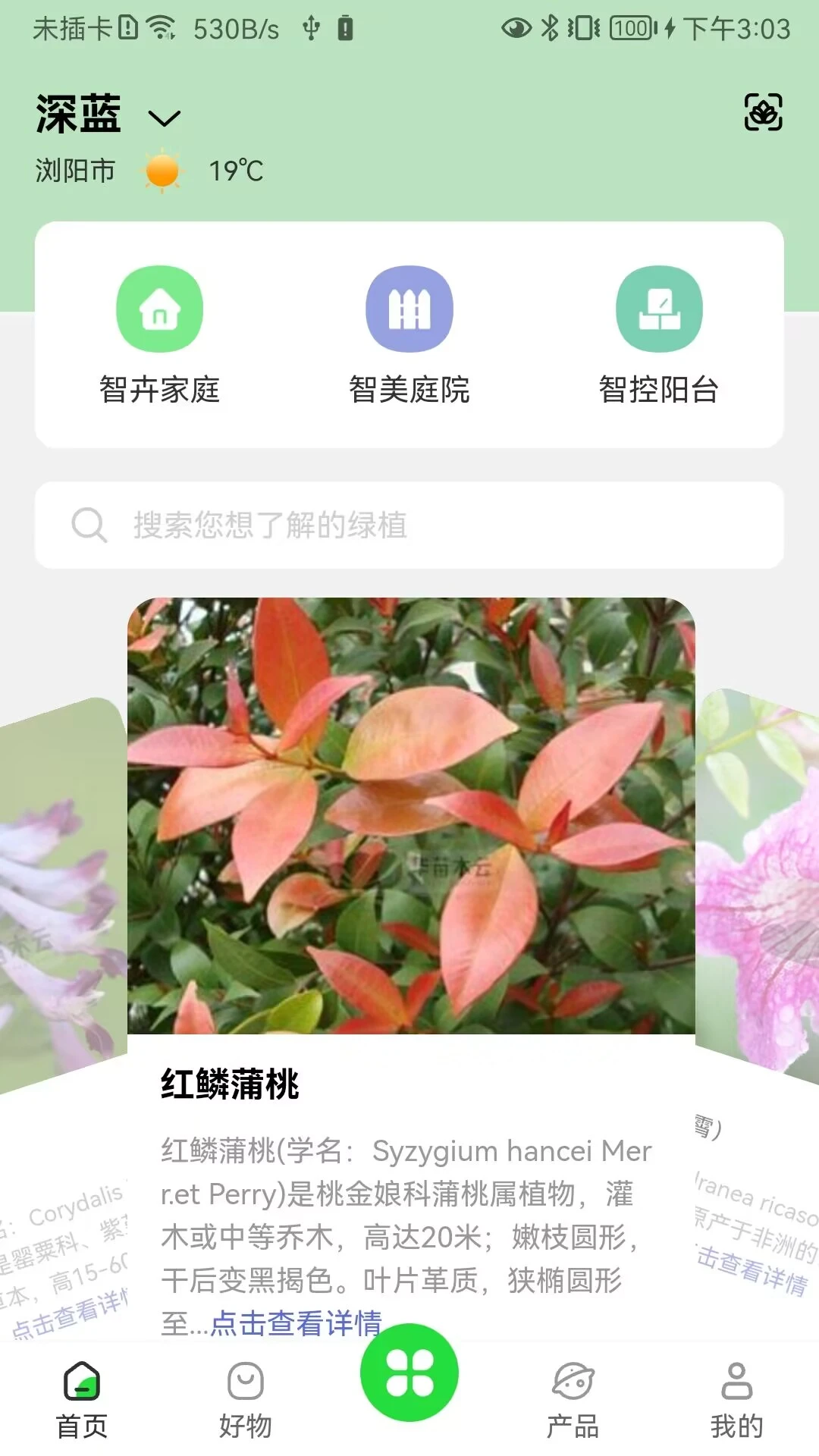 苗云卉软件封面