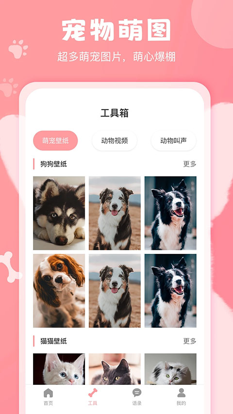 狗语翻译器软件封面