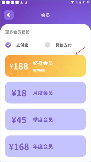会员套餐选择界面
