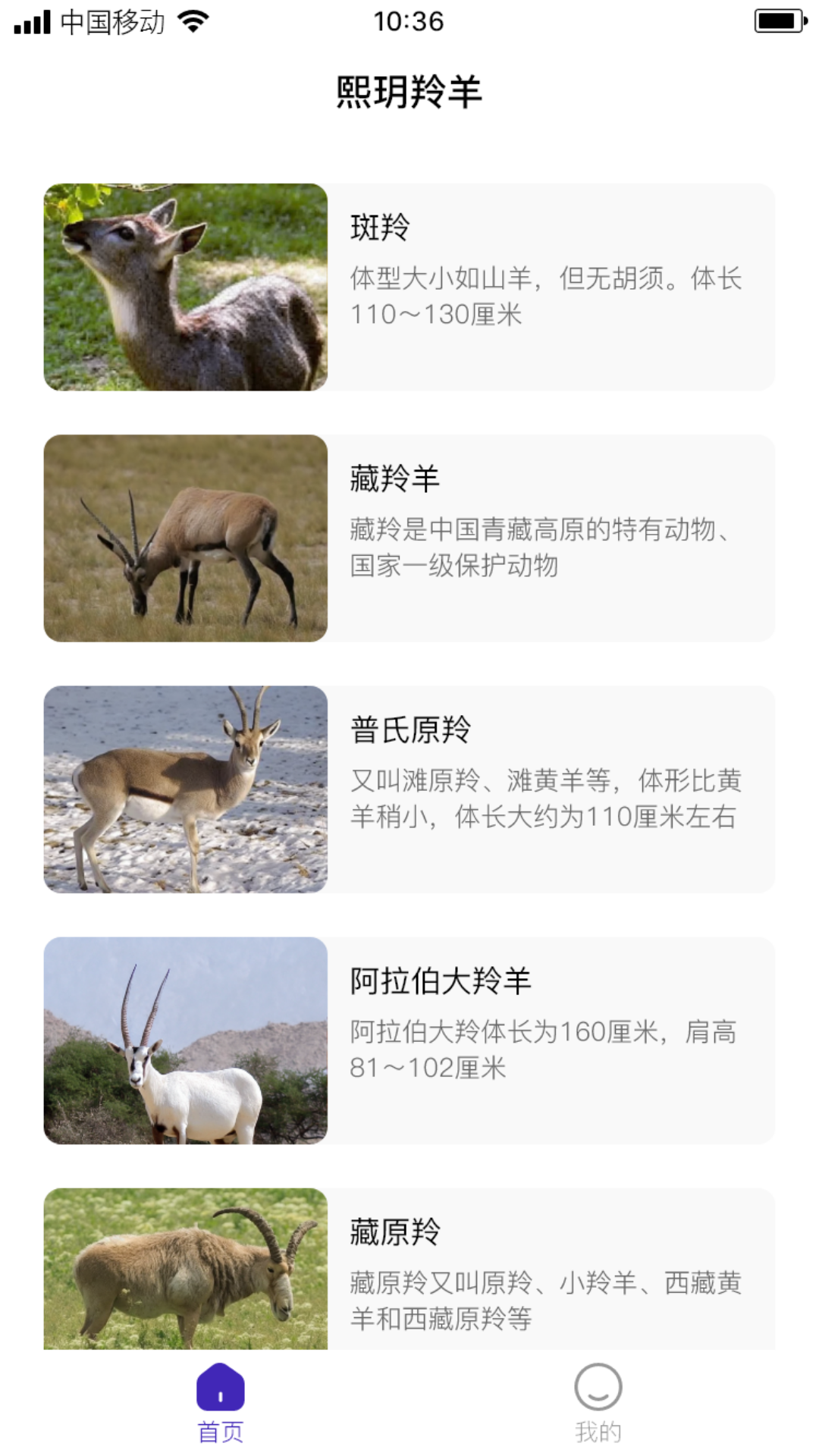 熙玥羚羊软件封面