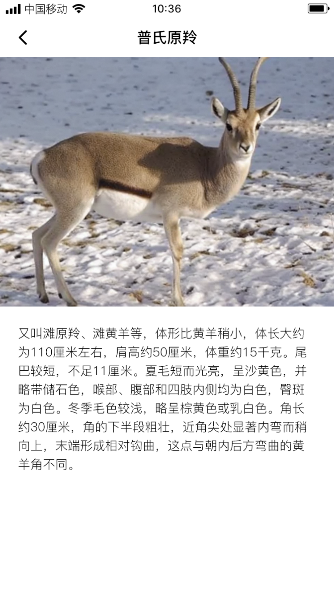 熙玥羚羊软件封面