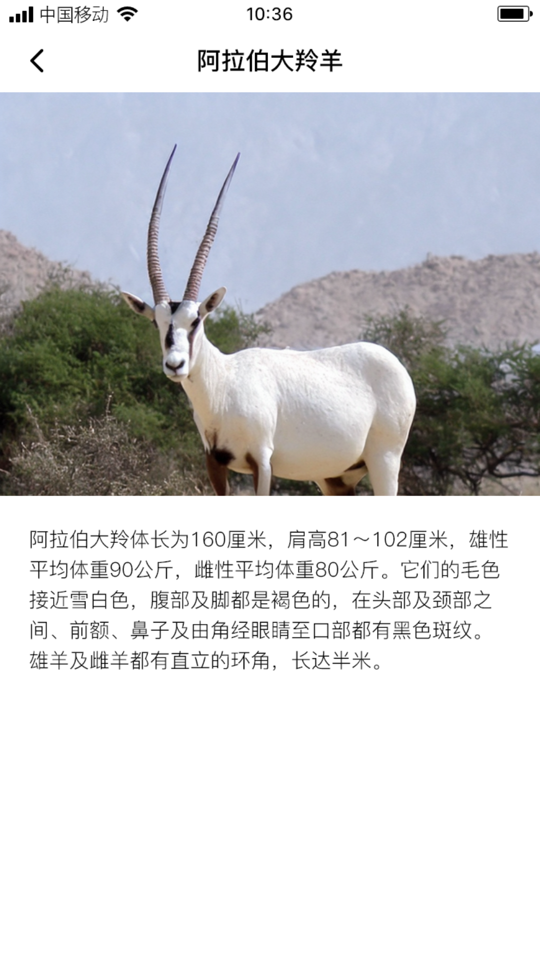 熙玥羚羊软件封面