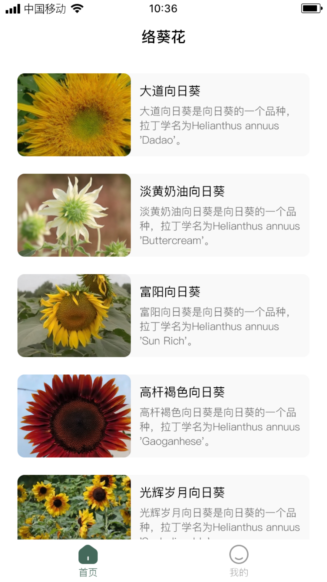 络葵花软件封面