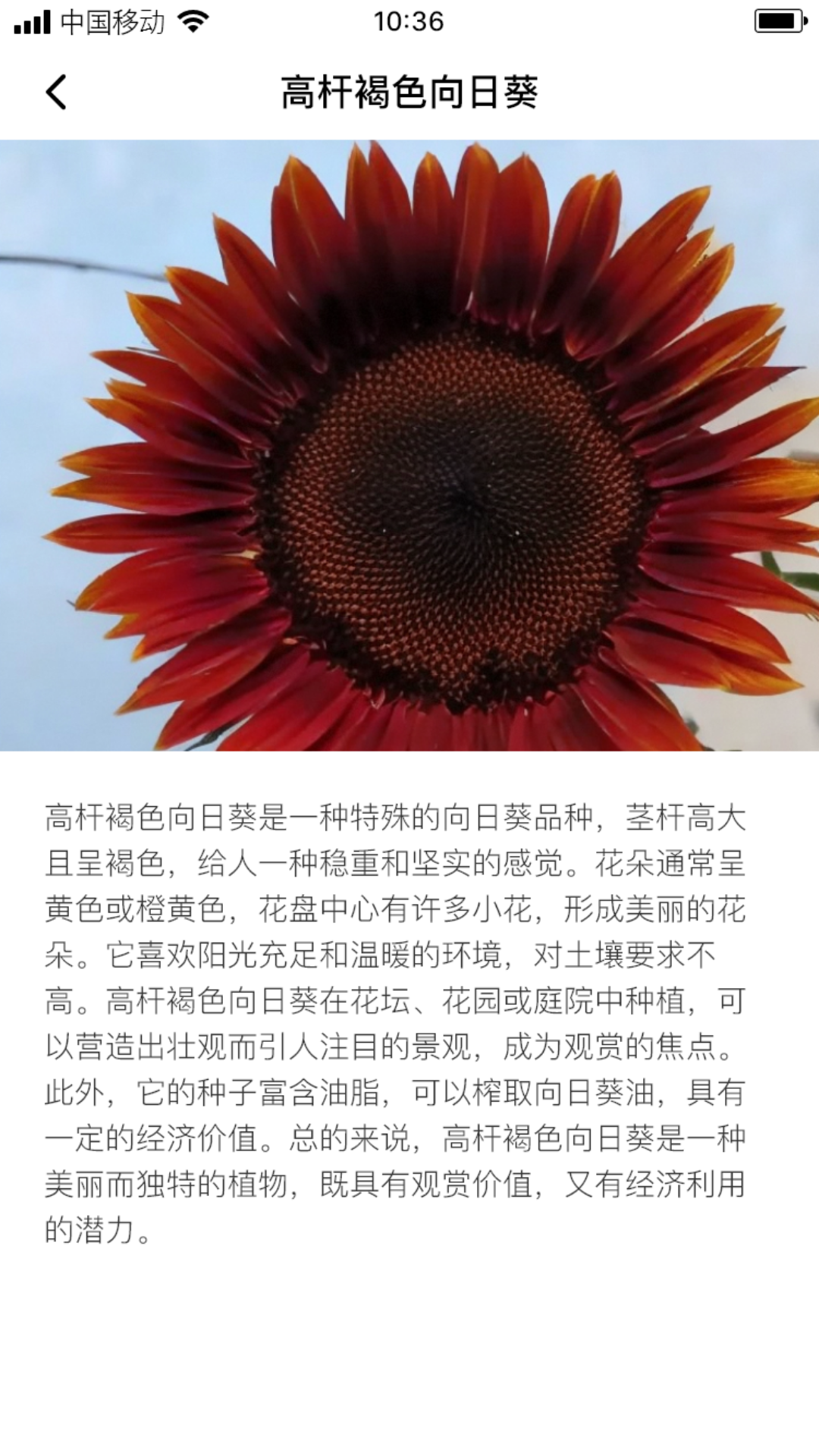 络葵花软件封面