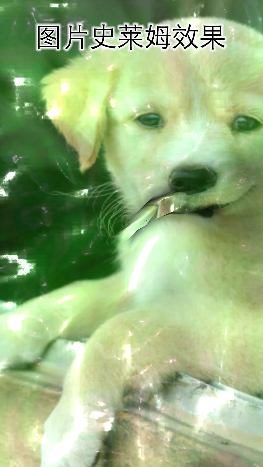 史莱姆超级粘液软件封面