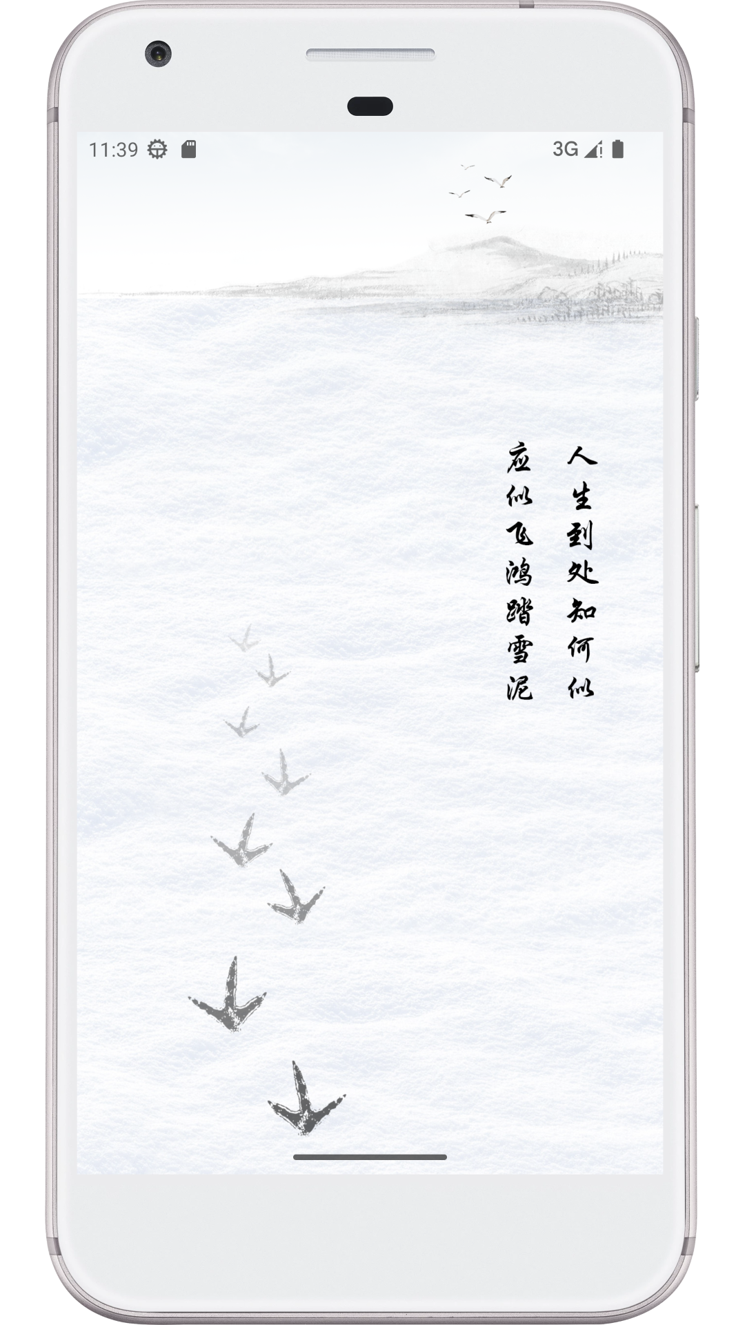 飞鸿踏雪软件封面