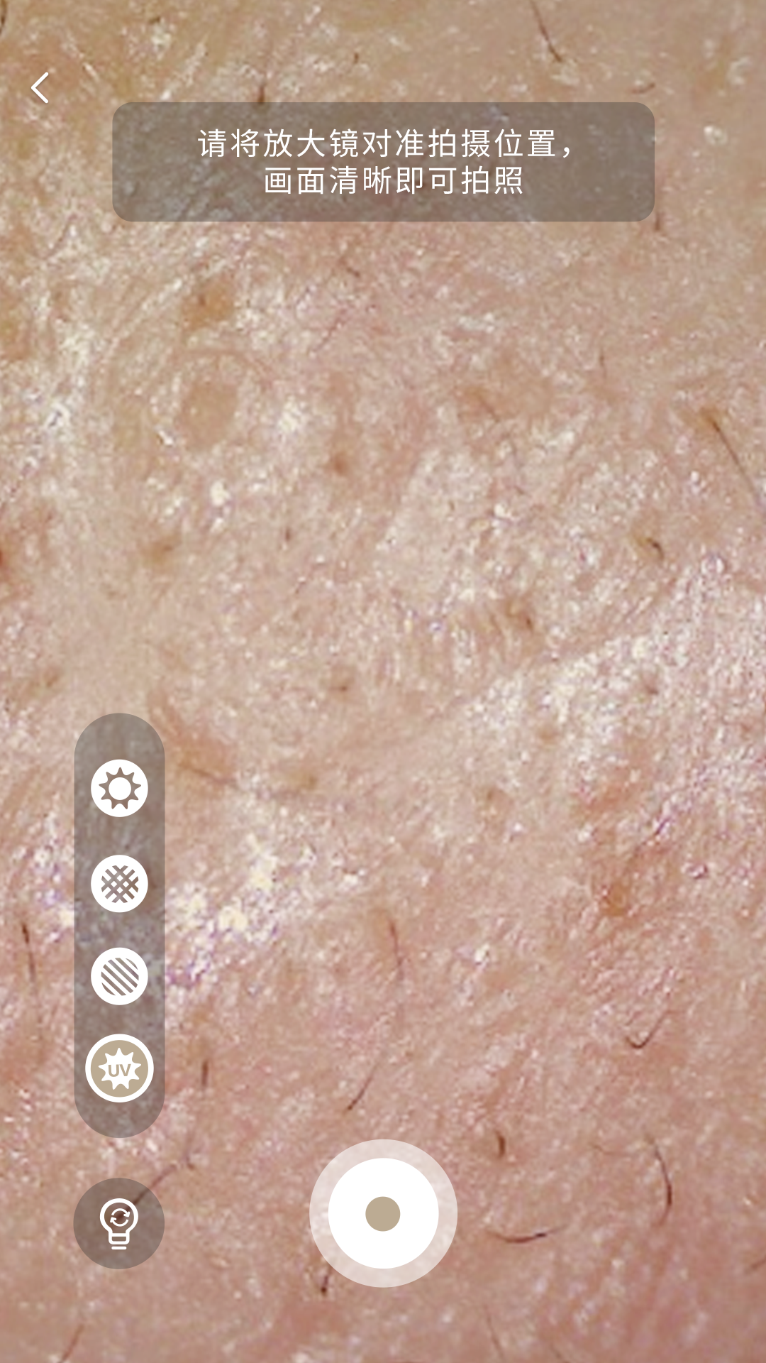 MoreMeSPA软件封面