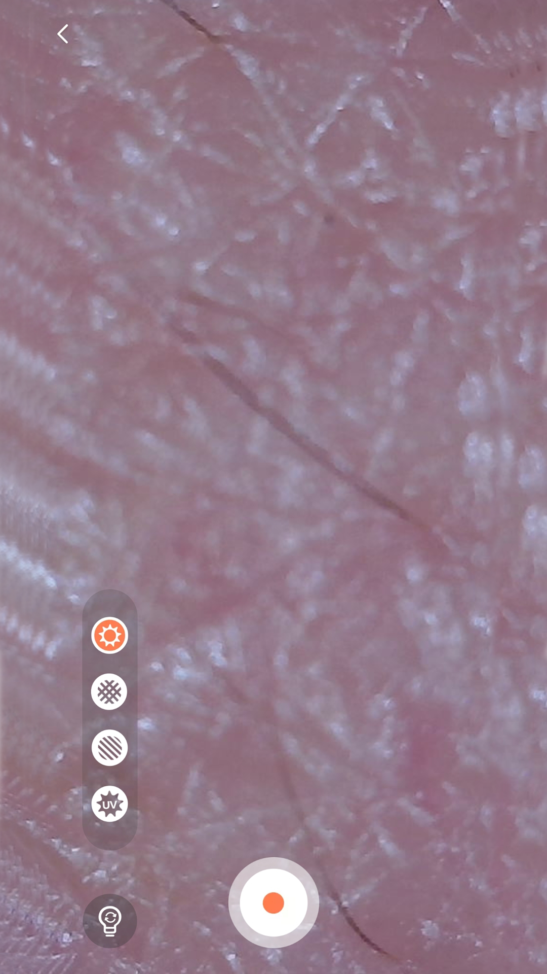 MoreMeSPA软件封面