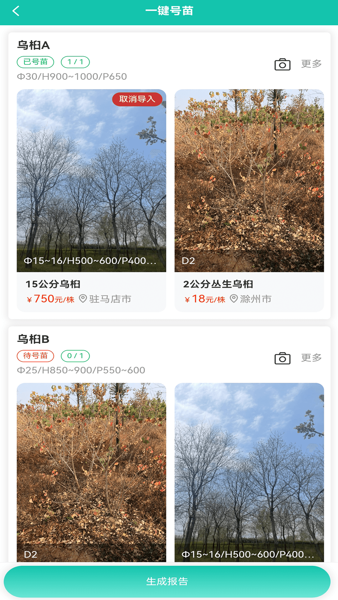 易号苗软件封面