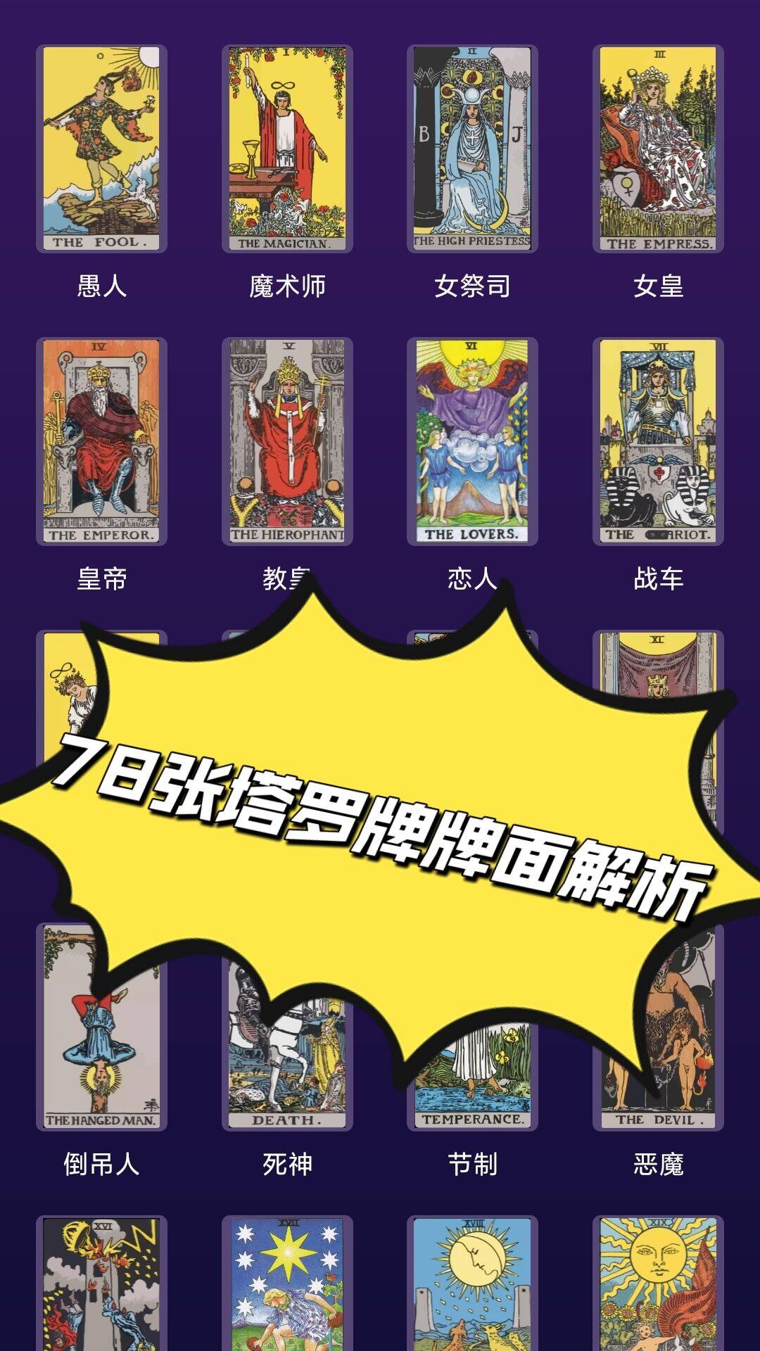 MAX塔罗牌软件封面