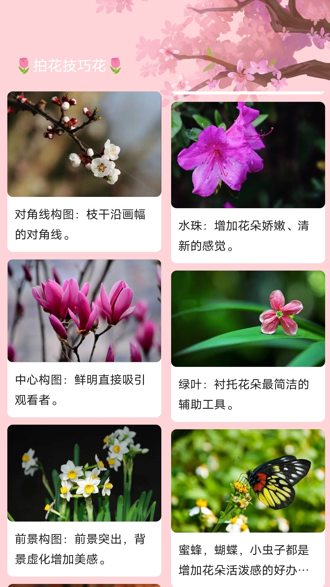 妙拍大师软件封面