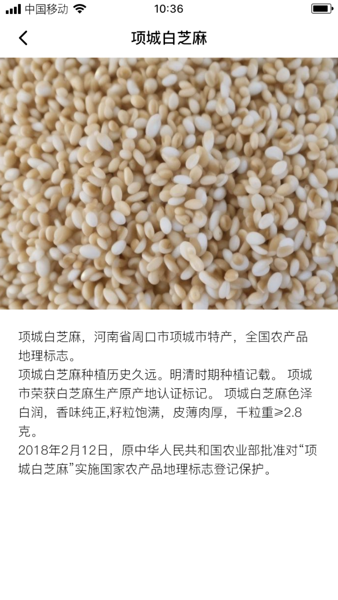 长叶山芝麻软件封面