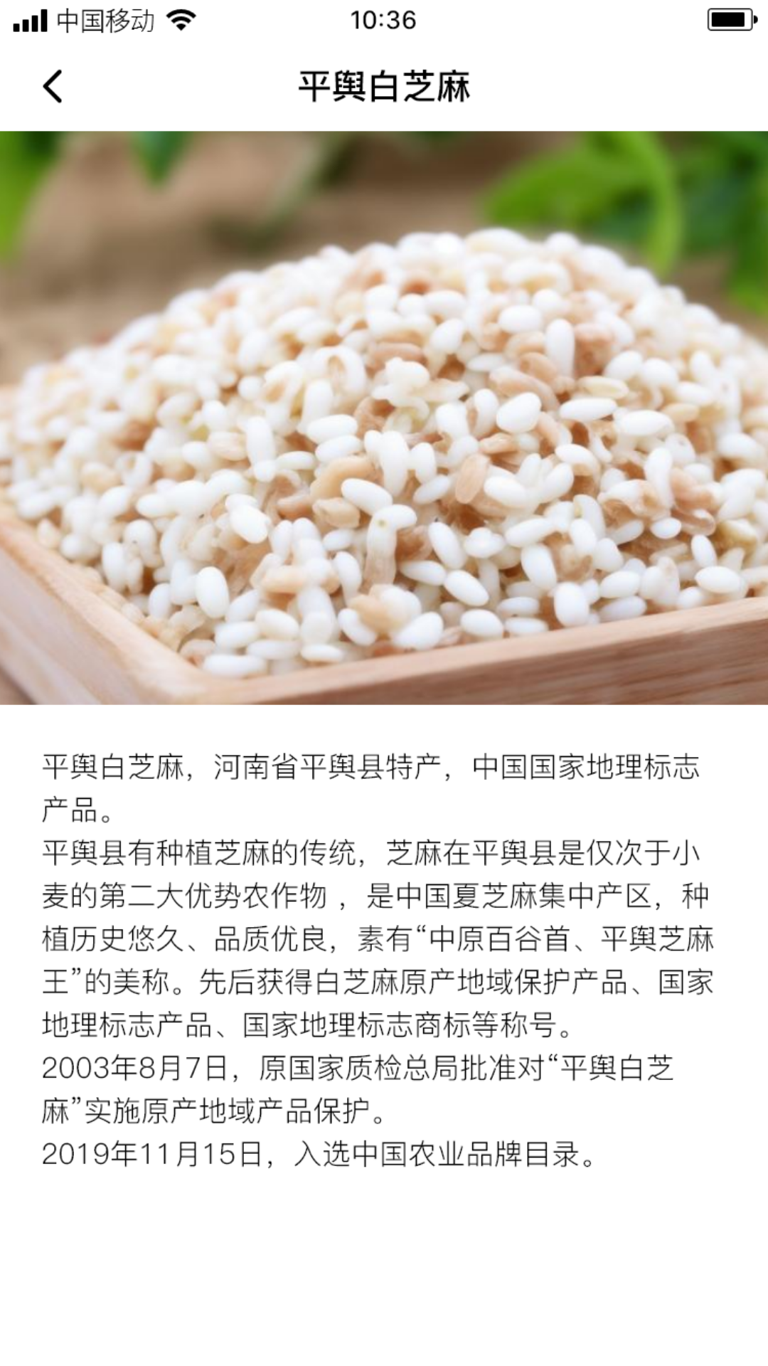 长叶山芝麻软件封面