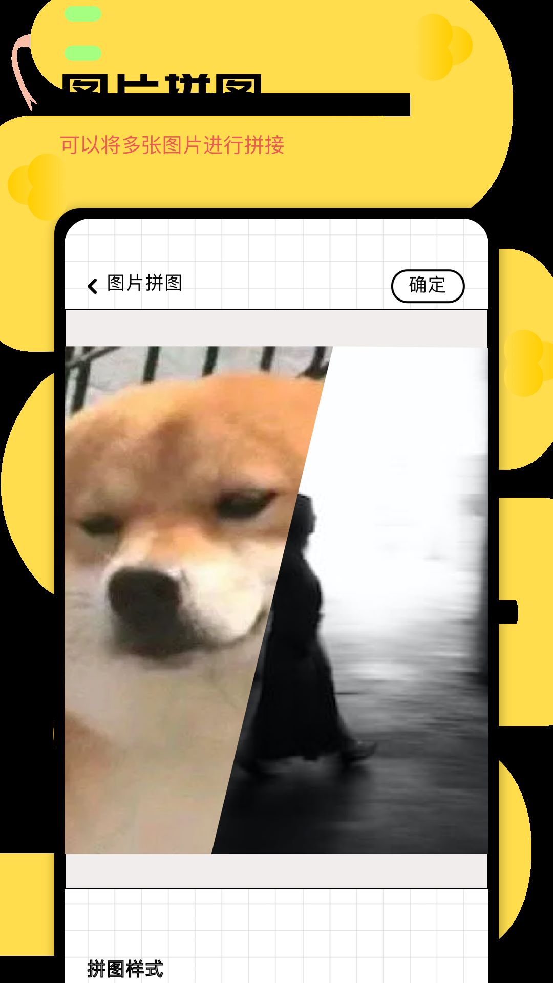 龙图软件封面