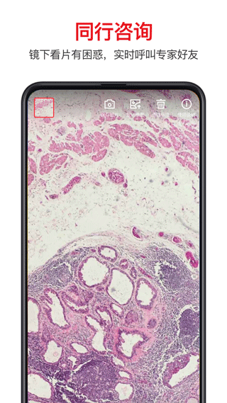 爱病理app软件封面