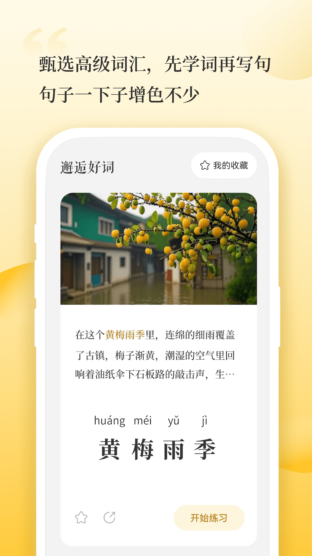 辞源软件封面