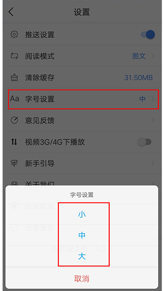 字号设置选项