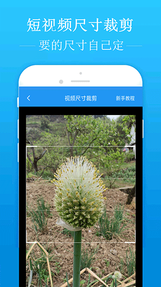 去水印吧软件封面