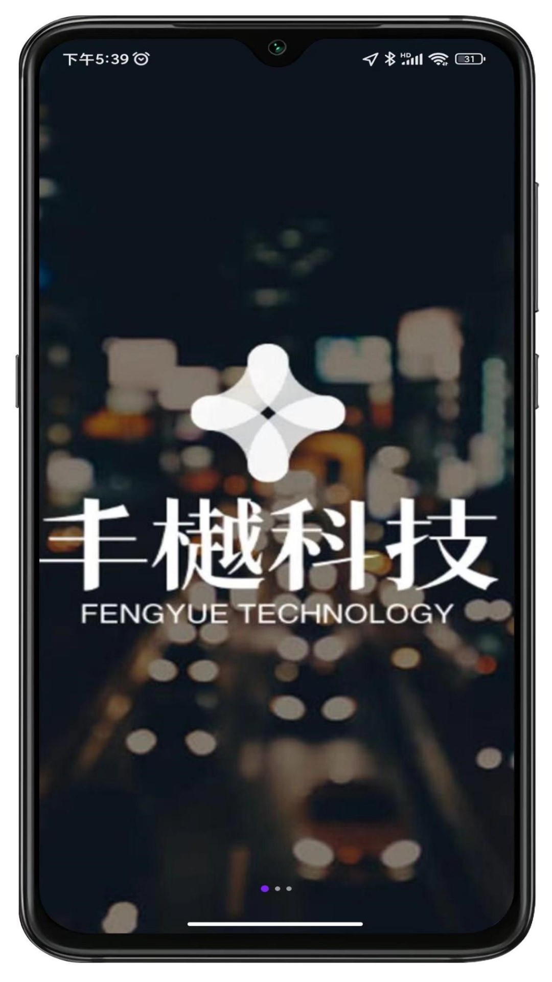 丰樾智服云软件封面
