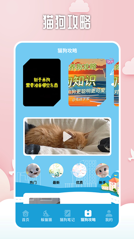 找下猫软件封面