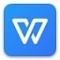 wps政府专用版