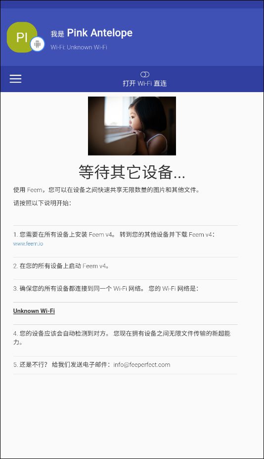 启动 Feem