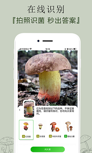 菌窝子app软件封面