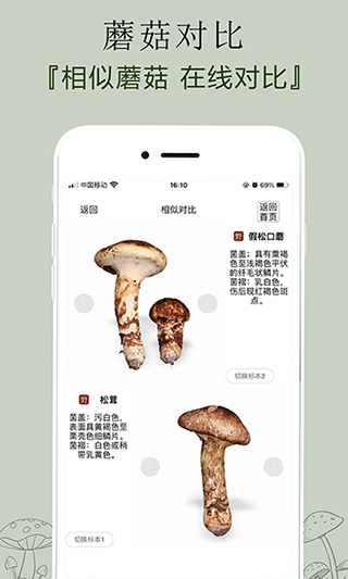 菌窝子app软件封面