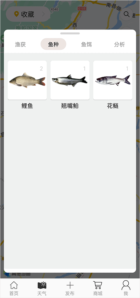 鱼种界面