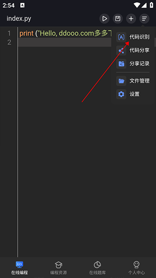代码识别功能界面