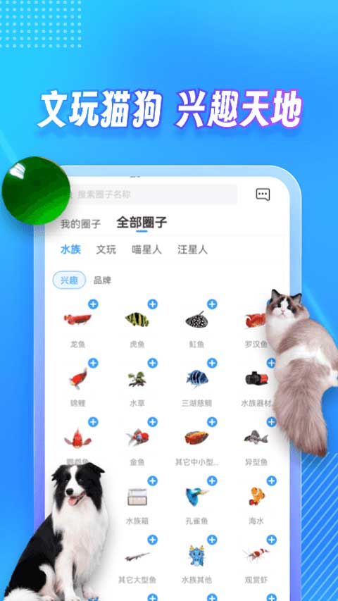 龙巅app软件封面