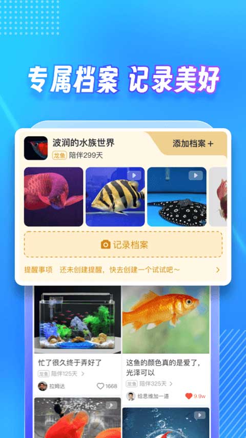 龙巅app软件封面