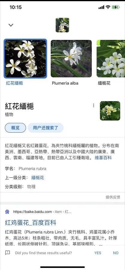 详细信息