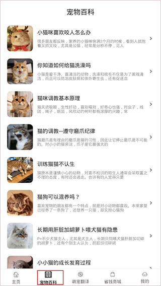 宠物百科界面