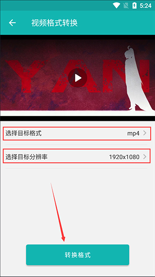 选择目标格式和分辨率