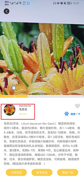 识别结果界面