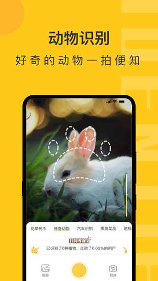 拍照识物app软件封面