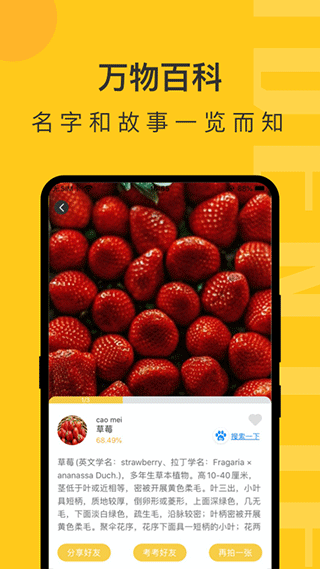 随手拍照识物app软件封面