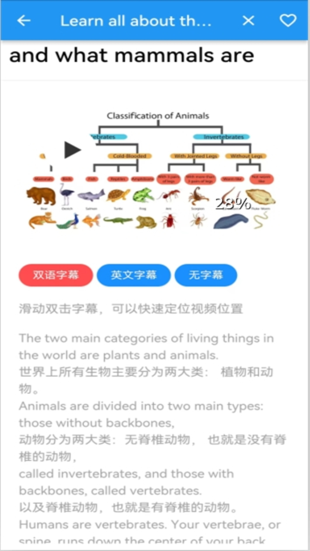 语小伴软件封面
